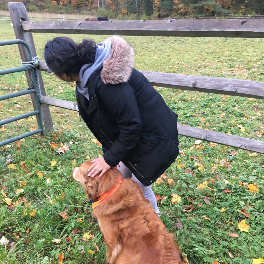 Meet your Posher, Suriko